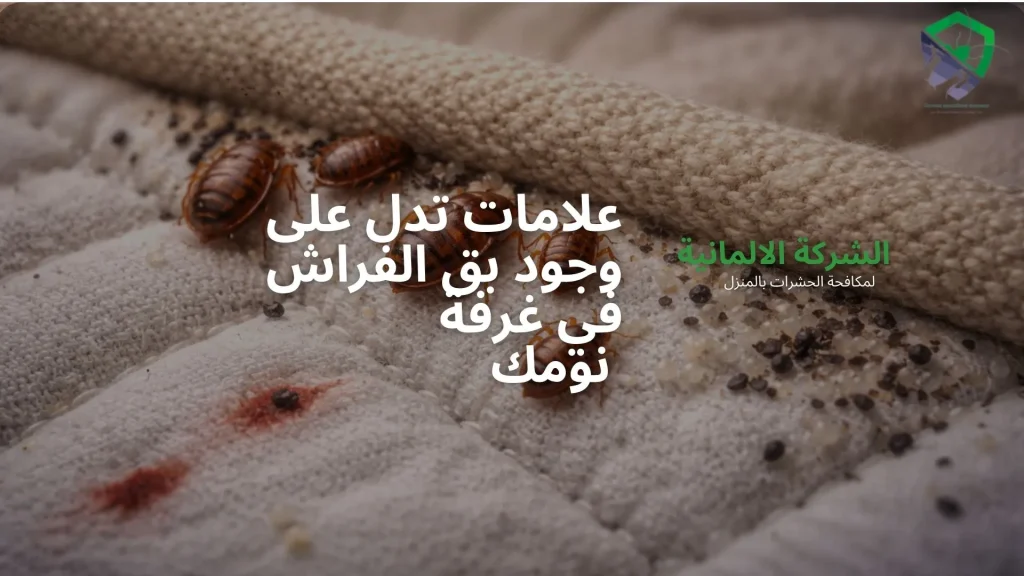 علاج بق الفراش