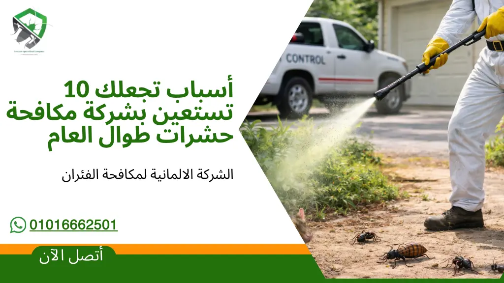 الاستعانة بشركة مكافحة الحشرات