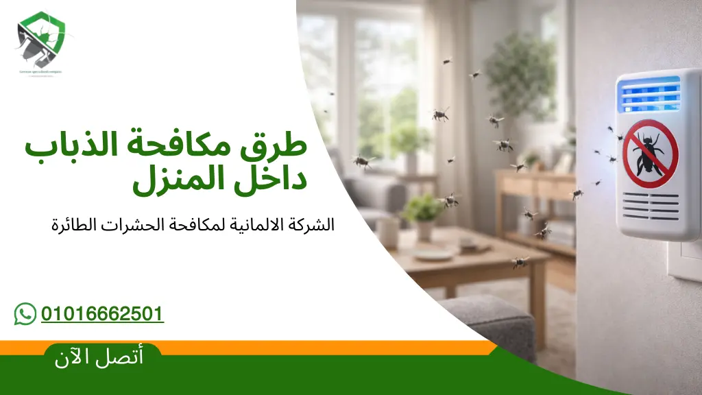 طرق مكافحة الذباب في المنزل