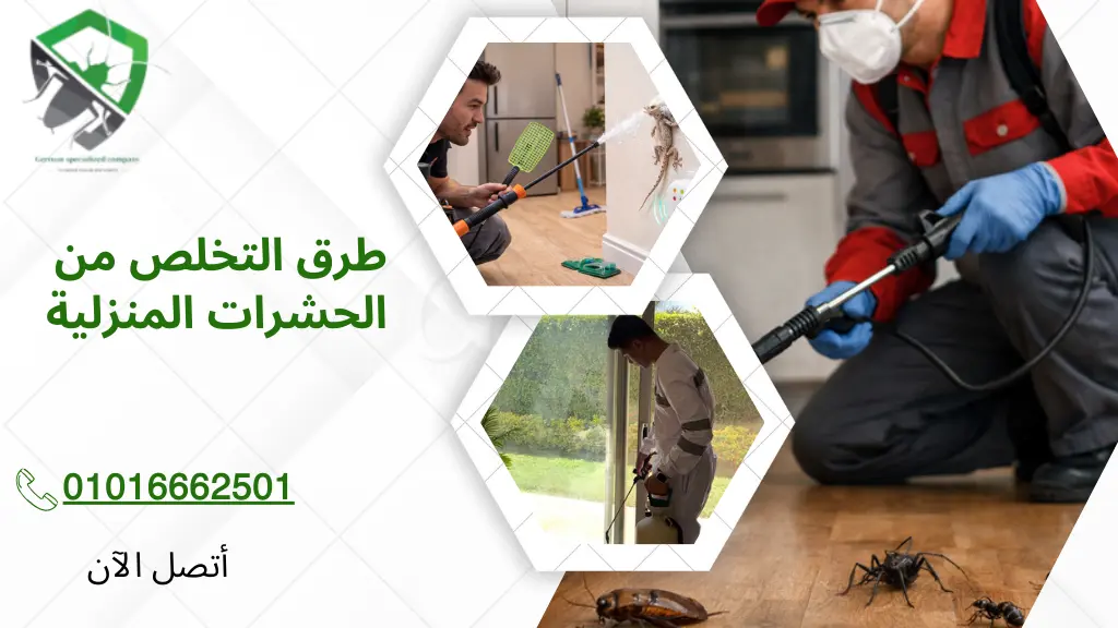 طرق التخلص من الحشرات المنزلية