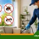 مكافحة حشرات الصيف