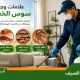 علامات وجود سوس الخشب