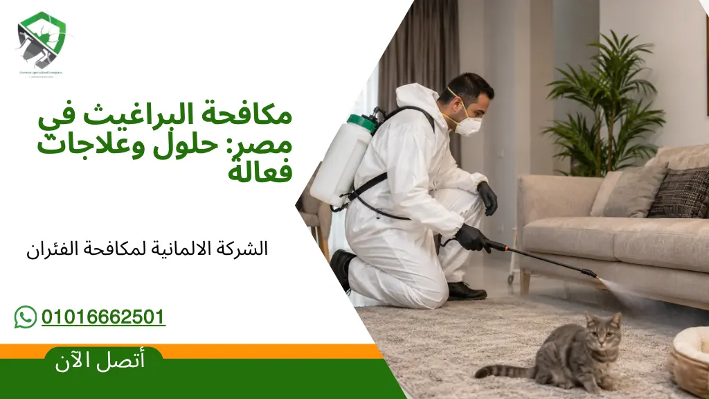 مكافحة البراغيت في مصر ، حل للبراغيت