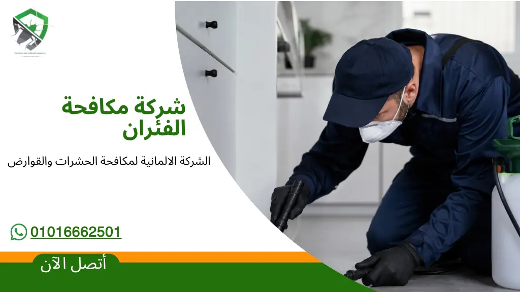 شركة مكافحة الفئران
