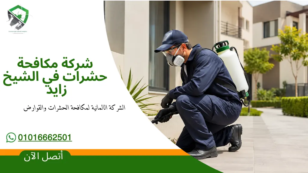 شركة مكافحة حشرات في الشيخ زايد