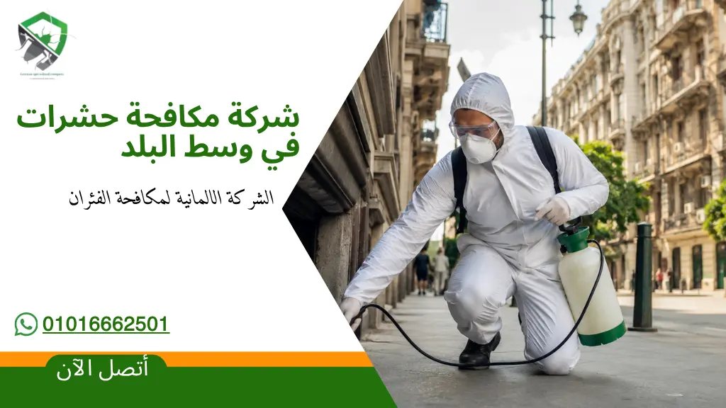 شركة مكافحة حشرات في وسط البلد (2)