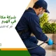 شرمة مكافحة حشرات في الهرم