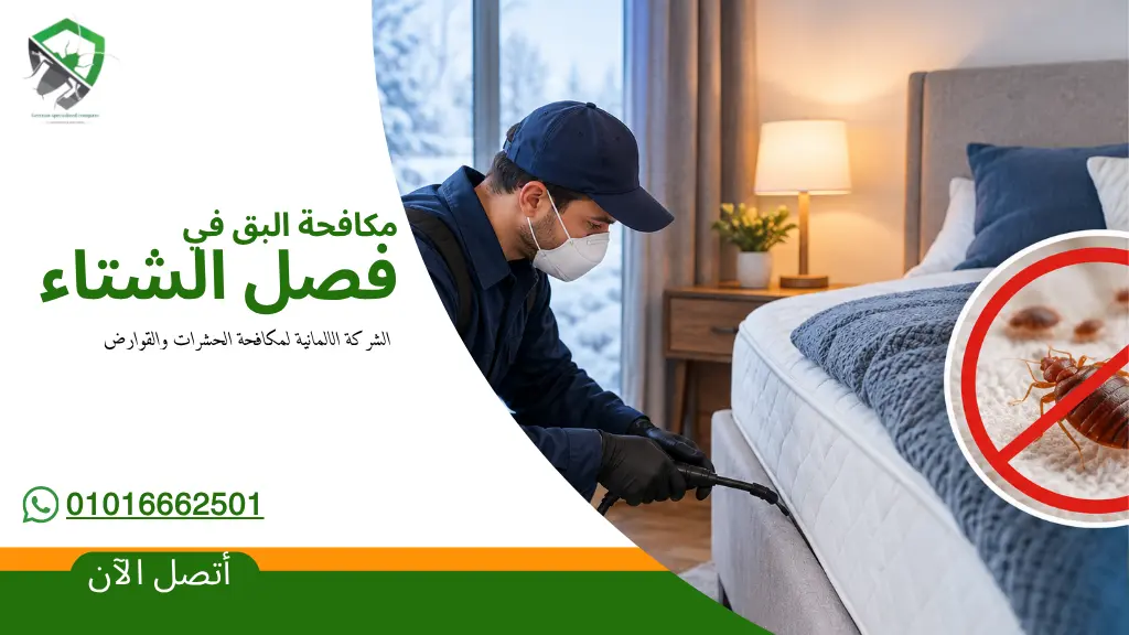 مكافحة البق في الشتاء
